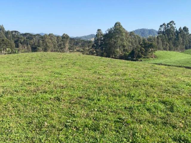#60 - Chácara para Venda em Rio Rufino - SC