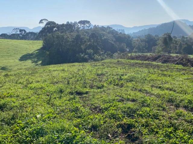 #60 - Chácara para Venda em Rio Rufino - SC