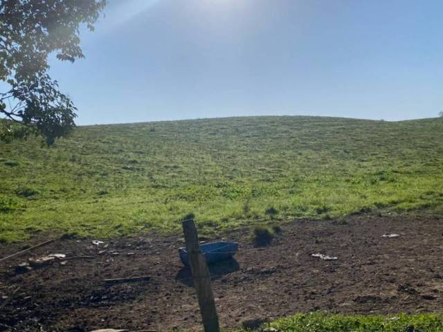 Chácara para Venda em Rio Rufino - 4