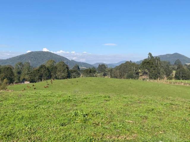 Chácara para Venda em Rio Rufino - 5