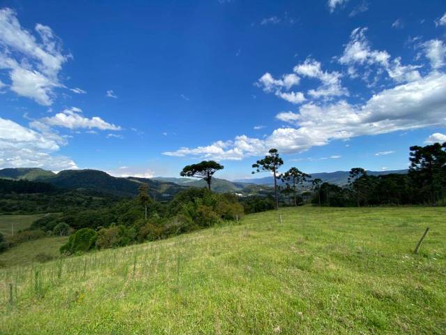 #63 - Chácara para Venda em Urubici - SC