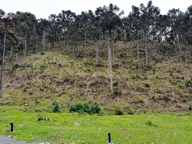 Área para Venda em Urubici - 5