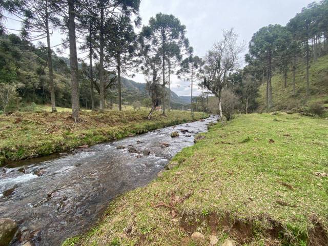 #64 - Área para Venda em Urubici - SC
