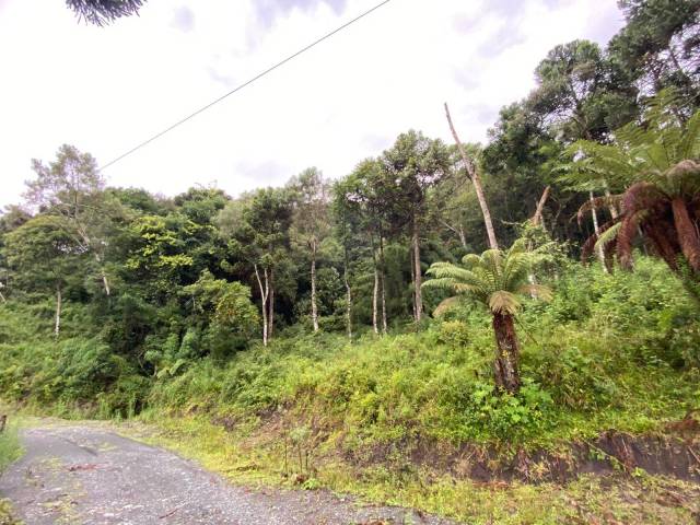 Venda em Baiano - Urubici