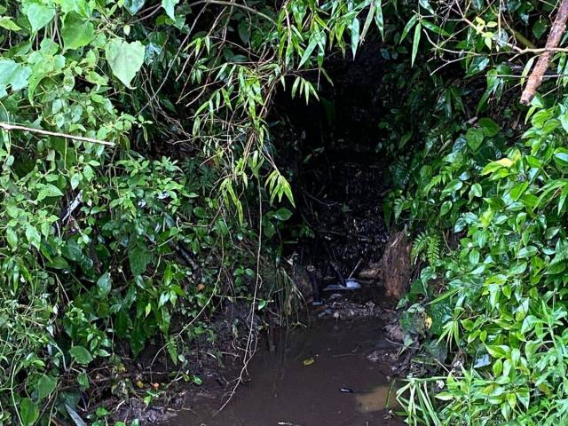 #65 - Área para Venda em Urubici - SC