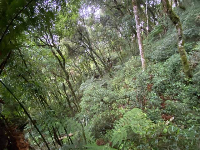 Área para Venda em Urubici - 5