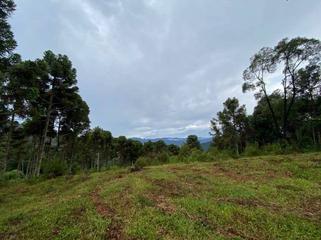 #65 - Área para Venda em Urubici - SC