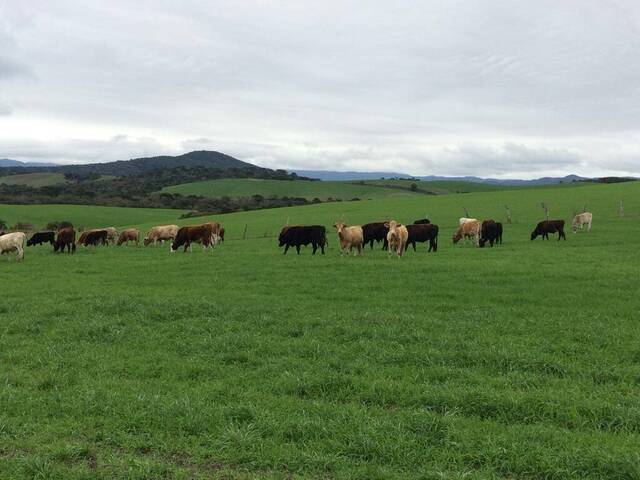 #67 - Chácara para Venda em Bom Retiro - SC