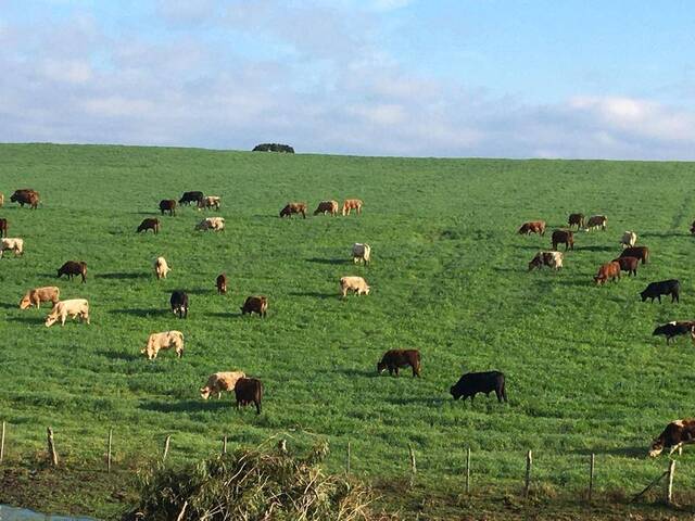#67 - Chácara para Venda em Bom Retiro - SC