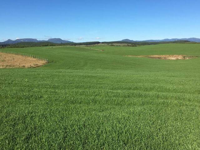 Venda em Negrinha - Bom Retiro