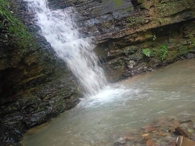 #52 - Chácara para Venda em Bom Retiro - SC